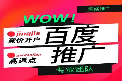 百度推广与品牌建设的结合案例